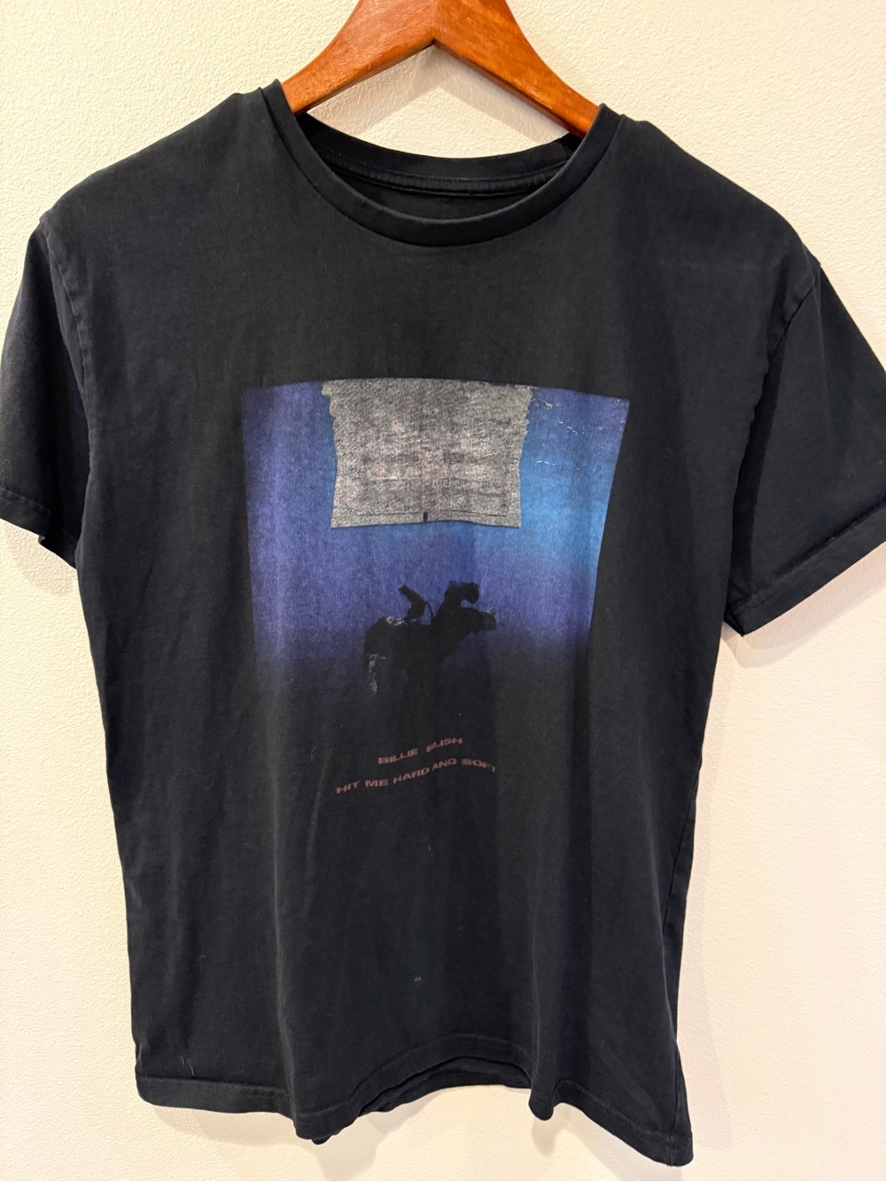 Hot Topic Billie Eilish Hit Me Hard And Soft Album Cover Black T-Shirt Graphic